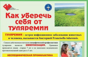 Приглашаем на вакцинацию против туляремии