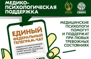 С июля 2024 года заработал единый федеральный чат Комитета семей воинов Отечества медико-психологической поддержки семей и участников СВО
