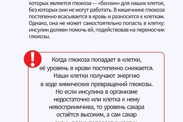 С 13 по 19 ноября проходит неделя борьбы с диабетом (в честь Всемирного дня борьбы с диабетом 14 ноября)