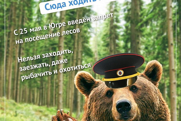 Комплексная безопасность несовершеннолетних