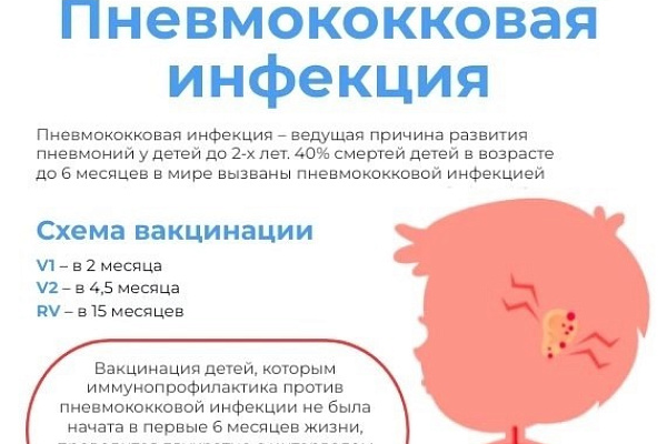 ПНЕВМОКОККОВАЯ ИНФЕКЦИЯ