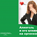 Буклет Алкоголь и его влияние на организм 