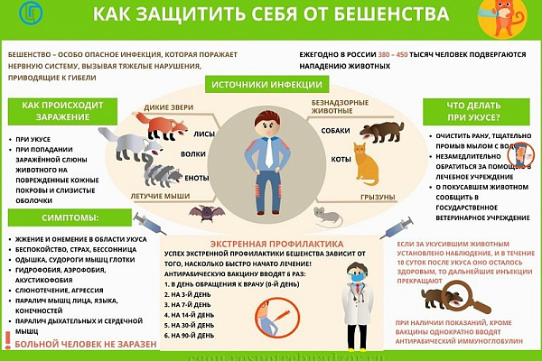 Бешенство