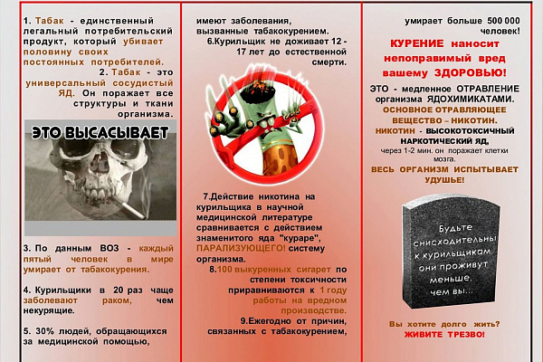 Цикл буклетов о здоровом образе жизни.