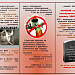Цикл буклетов о здоровом образе жизни.
