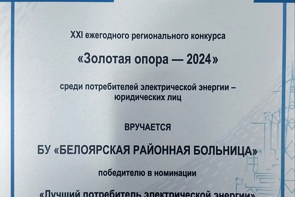 «Лучший потребитель электрической энергии» в городе Белоярском