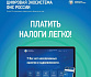 Информирование налогоплательщиков 