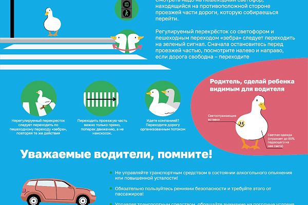 Риск травмирования в дорожно-транспортных происшествиях