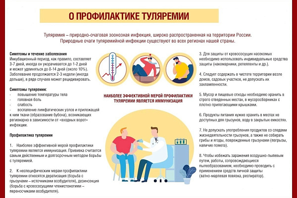 О профилактике туляремии