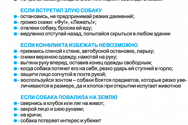 Правила безопасного поведения 