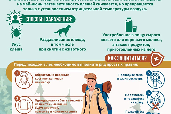 О профилактике клещевого энцефалита.