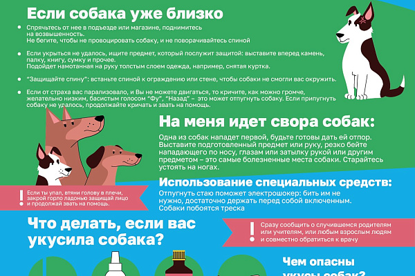 Риск травмирования в результате укуса собак