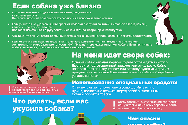 Как не стать жертвой укуса собаки?