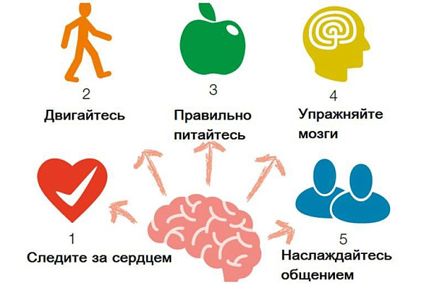 С 18 по 24 сентября проходит неделя популяризации здорового старения, посвященная Всемирному дню борьбы с болезнью Альцгеймера, который ежегодно отмечается 21 сентября.