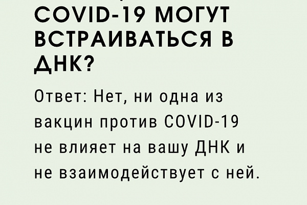 Ответы Covid 