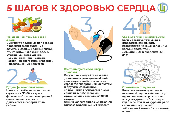 С 23 по 29 сентября проходит неделя ответственного отношения к сердцу