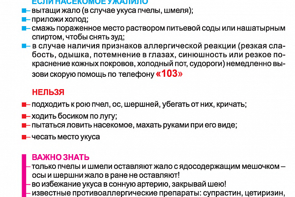 Правила безопасного поведения 